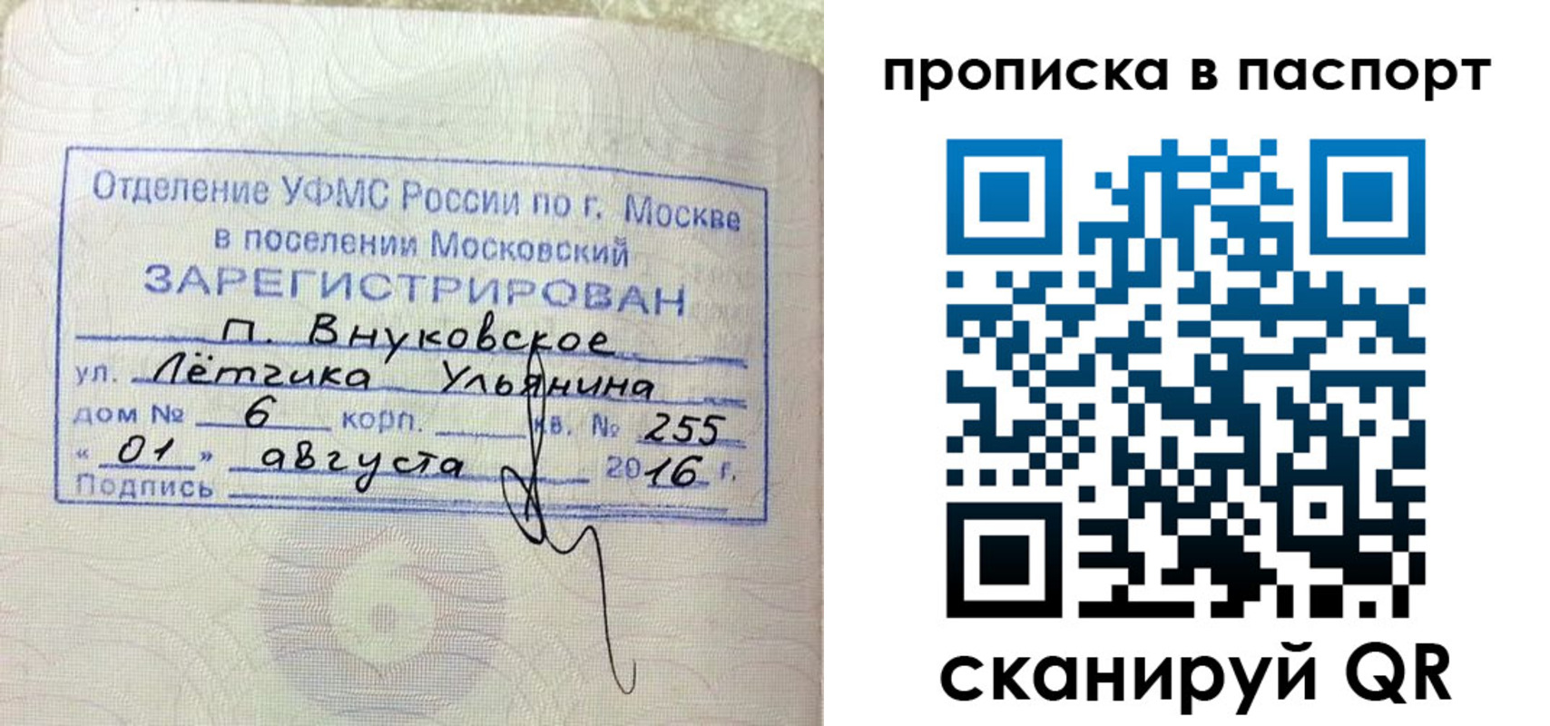 временная прописка в Александрове
