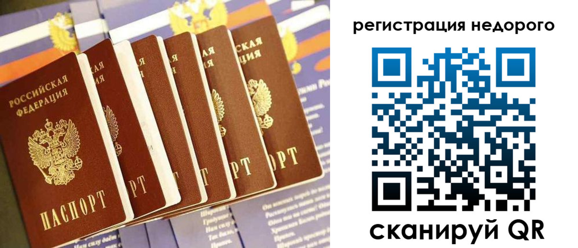 прописка в квартире в Александрове